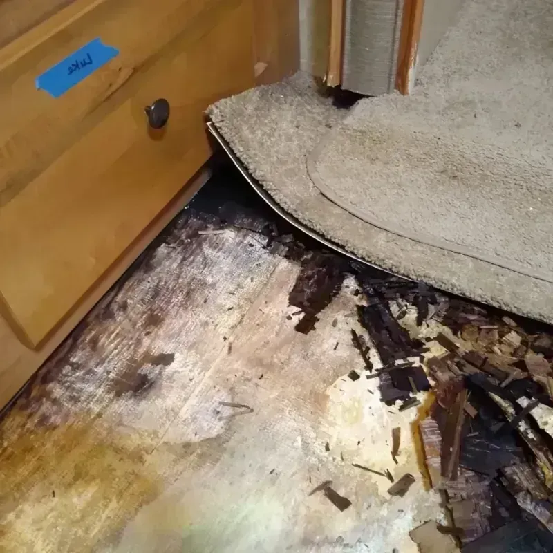 Best Wood Floor Water Damage Service in Olympia Fields, IL